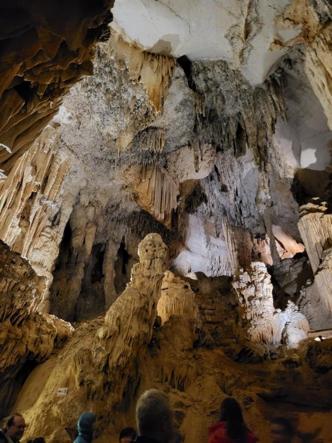 Gites Chez Daniel "Cevennes 1" Mars  Екстериор снимка