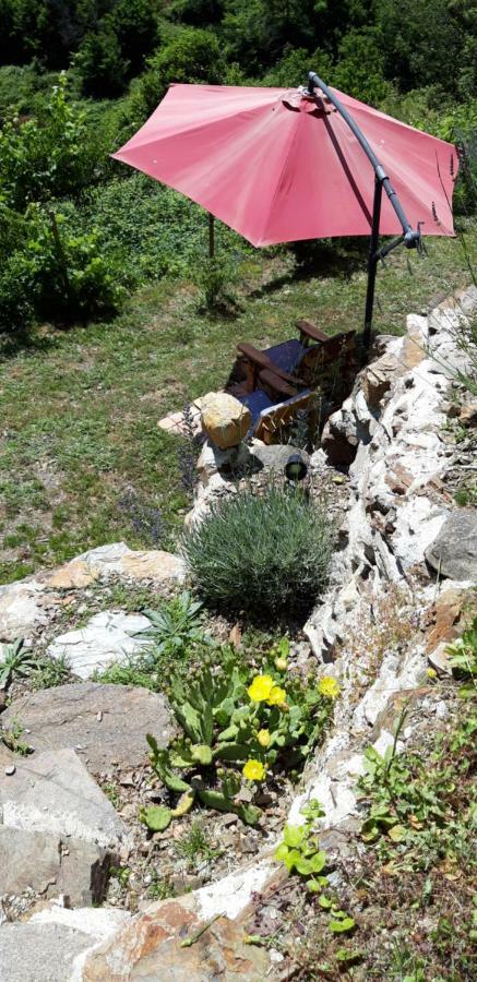 Gites Chez Daniel "Cevennes 1" Mars  Екстериор снимка
